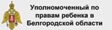 Уполномоченный по правам ребенка в Белгородской области.